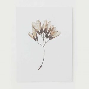 Flower Poster